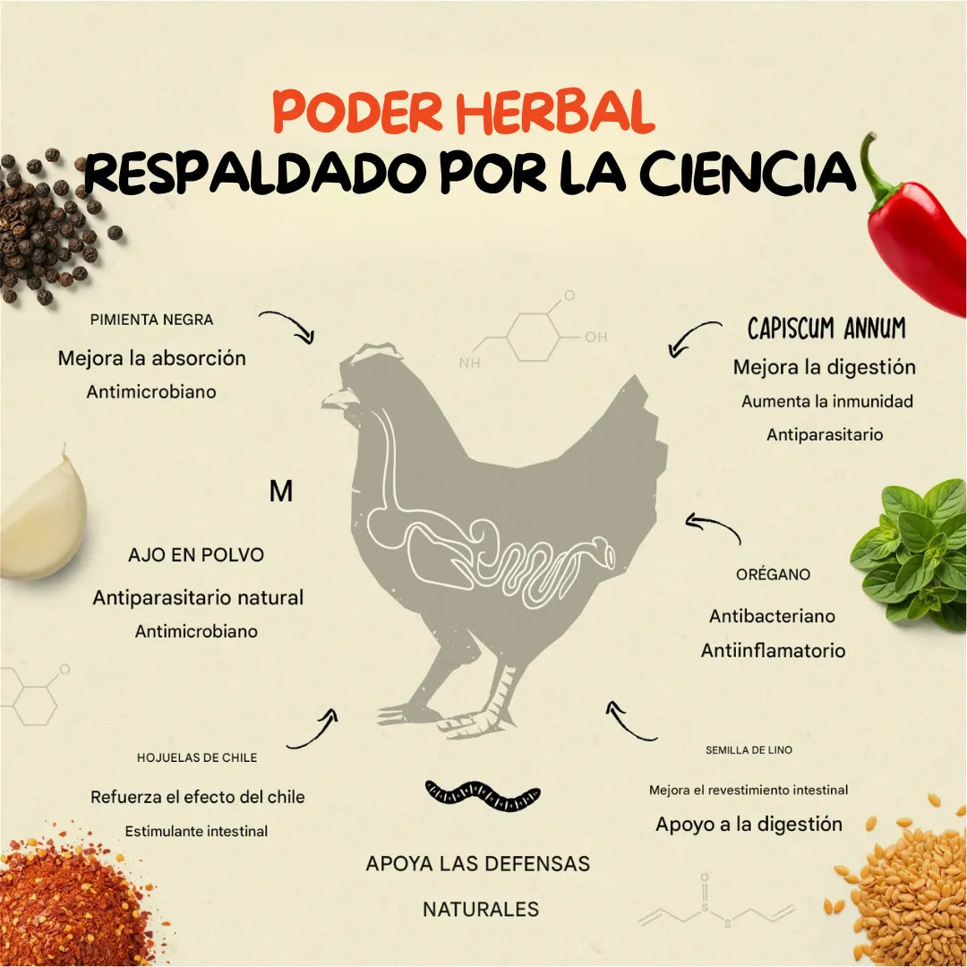 Desparasitante + Multivitamínico Natural para Aves de Corral – 500g Evita enfermedades y Acelera tu producción🐣🐤🐓¡Resultados desde los primeros días!✅