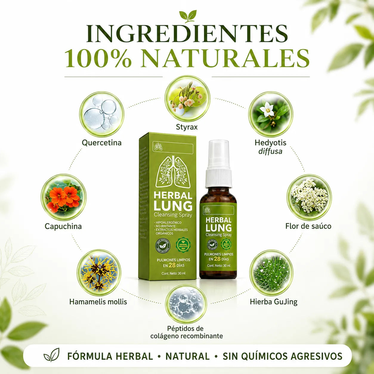Herbal Lung™ – Spray Herbal para el Cuidado Respiratorio y apoyo pulmonar