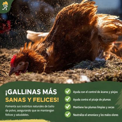 Control de ácaros y piojos para gallinas y pollos 🐓 Suplemento de crecimiento y engorde 500gr