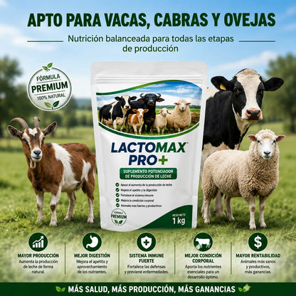 LactoMax Pro+ Suplemento potenciador de producción de leche : mayor producción y mejor calidad. 1 Kg 🐄🥛