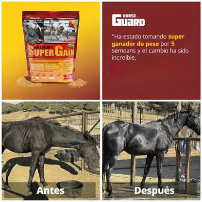 Suplemento para caballos 4 en 1 🐴  1 KG