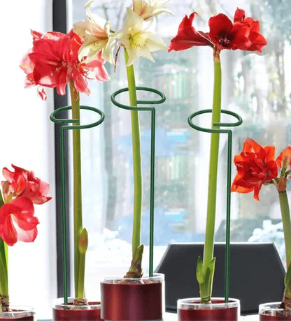 Set de Tutores para Enderezar Plantas y Flores x10 x20 x30