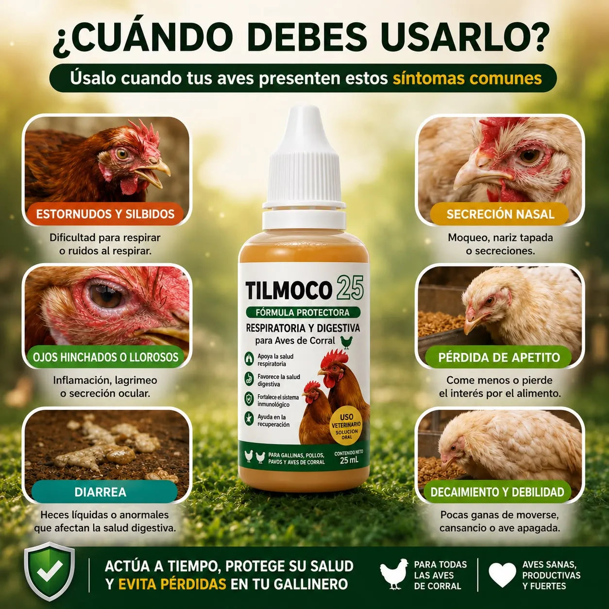 TILMOCO 25™ Fórmula Protectora Respiratoria y Digestiva para Aves de Corral 🐔