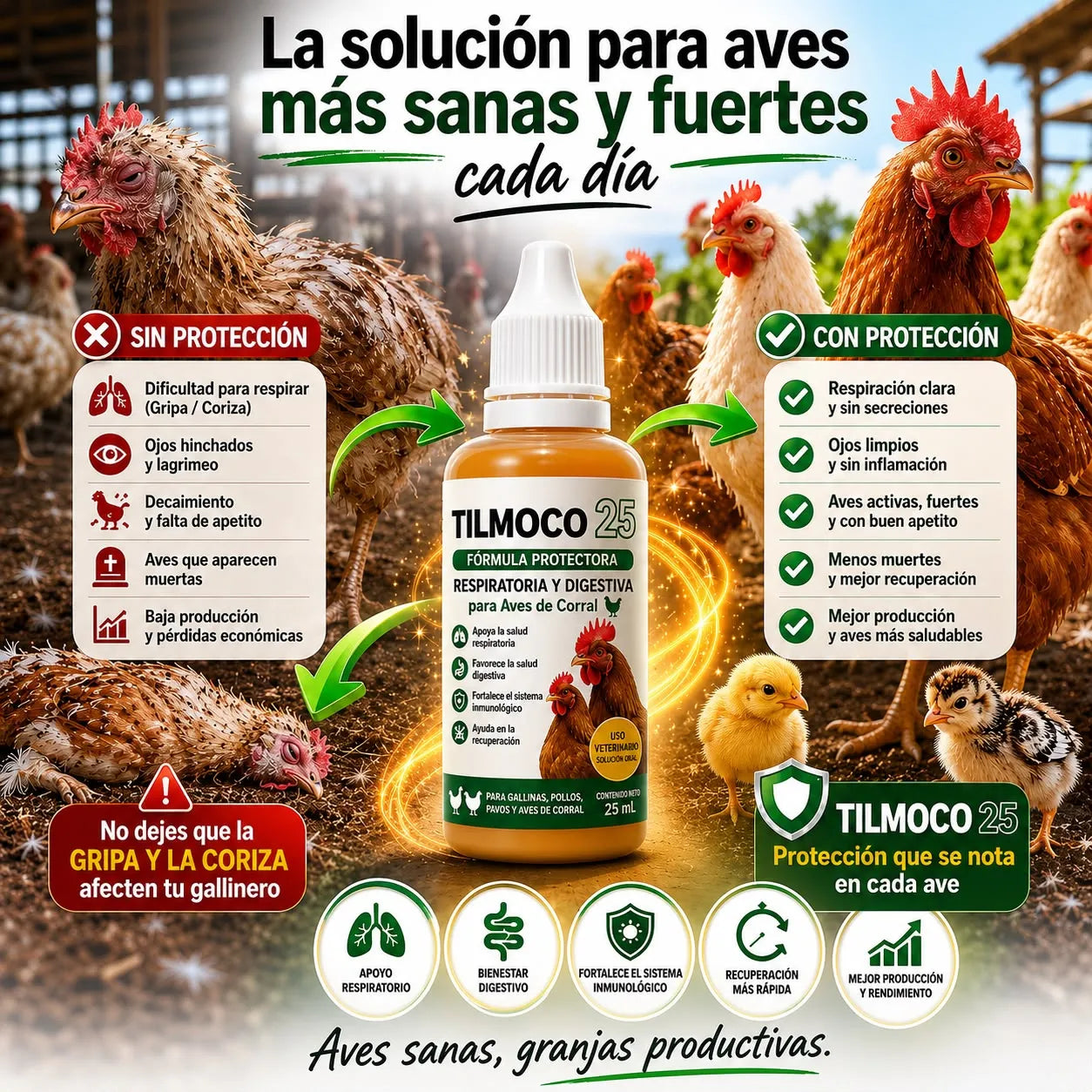 TILMOCO 25™ Fórmula Protectora Respiratoria y Digestiva para Aves de Corral 🐔