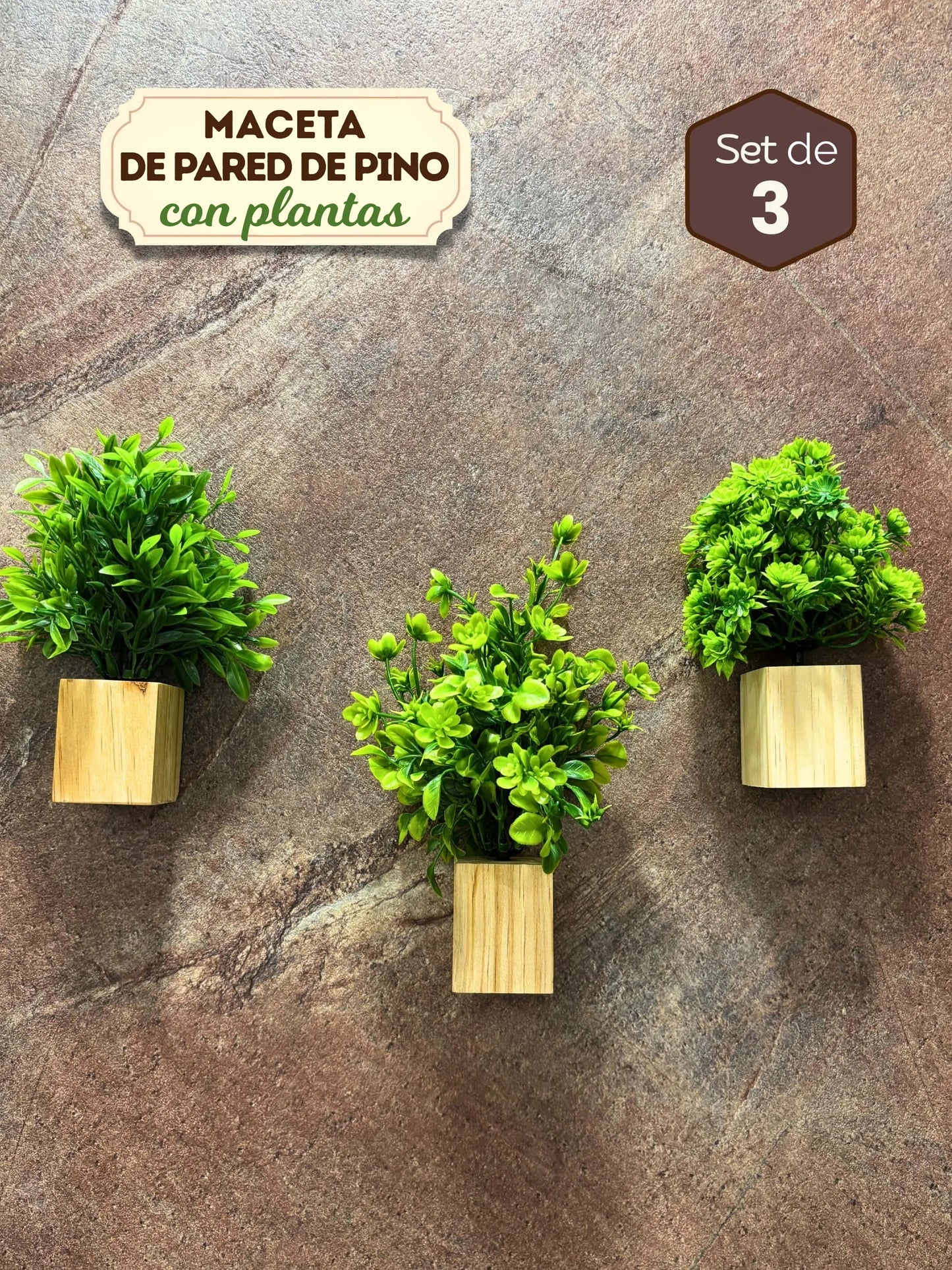 Mini maceta de pared de madera con plantas - 3 piezas