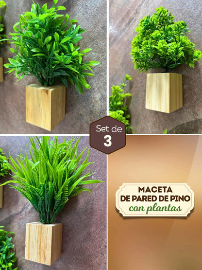 Mini maceta de pared de madera con plantas - 3 piezas