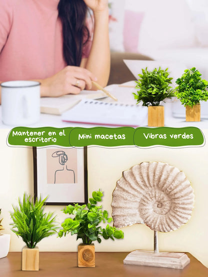 Mini maceta de pared de madera con plantas - 3 piezas