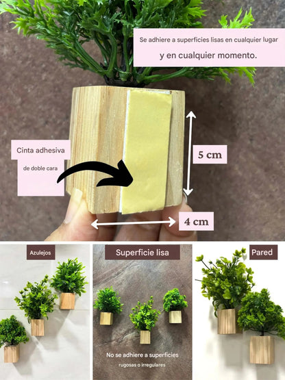 Mini maceta de pared de madera con plantas - 3 piezas