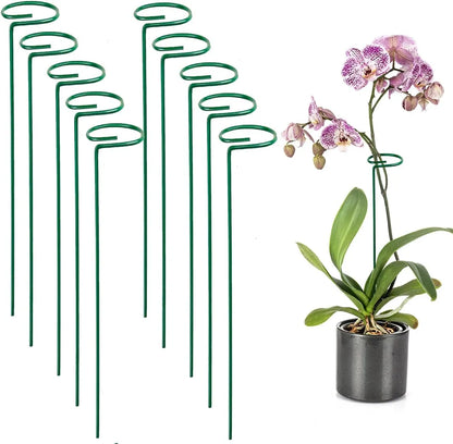 Set de Tutores para Enderezar Plantas y Flores x10 x20 x30