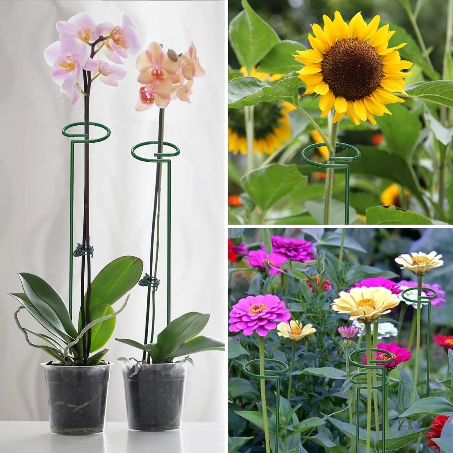 Set de Tutores para Enderezar Plantas y Flores x10 x20 x30