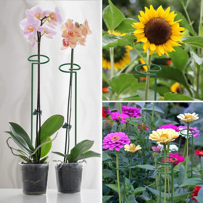 Set de Tutores para Enderezar Plantas y Flores x10 x20 x30