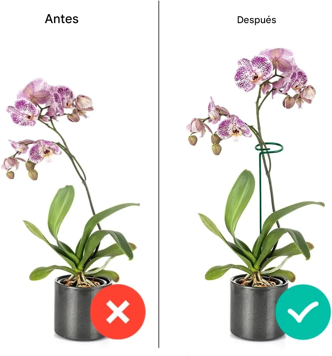 Set de Tutores para Enderezar Plantas y Flores x10 x20 x30